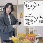 [드루와] <b>위너</b> 김진우좀봐바