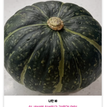 여사친/ 남사친 어디까지 허용가능?