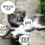 [추반] 알바 이거 할말