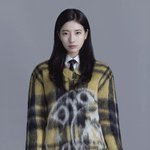 수지 <b>디올</b>