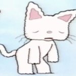 부산 고3 <b>문과</b> 와봐