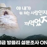 [방탄소년단] 댓댓 들으며 방플리 <b>설문</b>을 하면 어떨까?