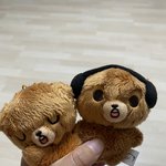 [NCT드림] 나 어제 잠시 곰도 새<b>식구들</b> 팝업에 데려갈생각에