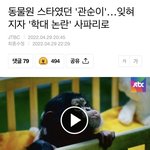 [댓글부탁해] 부디 침팬지관순이를잊지말아주세요