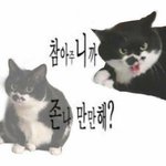 고2판녀의다이어트계획