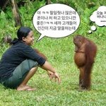 [드루와] 방금 옷 어떠녀고 물어본앤대