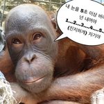 너네 짝남이 이러면 어때?