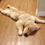 [NCT칠프] <b>푸</b>