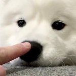 [NCT드림] 내 구오빠들 곧 컴백,,,마음이 싱숭생숭함,,