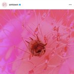 소녀시대 완전체 컴백 <b>확정</b>이다