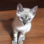 [BTOB] <b>사진첩</b> 대방출 삼이