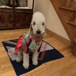 [BTOB] 사진첩 대<b>방출</b> 페니