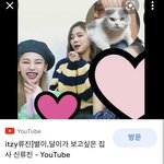 <b>해찬</b>류진 반려견 이름 소름돋아ㅋㅋㅋ