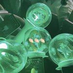 [모두드루와] 스키즈 콘서트에 리사 <b>민니</b> 우기 옴