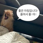 [댓글부탁해] 너네 <b>짝남</b>이 이러면 정떨어져?? 댓글좀