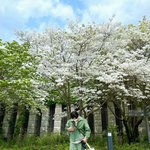 김남준 진짜 뭐하세요