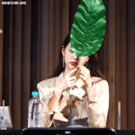 [모두드루와] 토토로 잎사귀가 뭔지 몰랐던 아이브 장원영