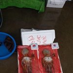 <b>디올</b> 광고 너무 웃기지않음?