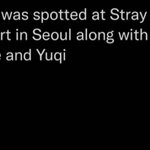 [스키즈] 헐 <b>리사</b> 유기 민니?