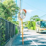 나만 나중에 서울말고 <b>시골</b> 가고 싶냐……