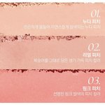 <b>웜톤</b> 블러셔 추반좀