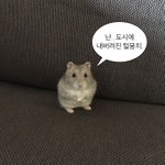 드디어 <b>스</b><b>엠</b> 실력구멍그룹이 나왔네