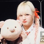 아이브 <b>로얄</b> 활동하나