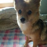 나 오늘 지능검사 받았는데