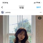 이 머리 뭐라고 함?