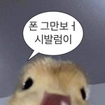 나 재수학원 수학질문 받는 대학생인데 질문받늠