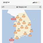 얘들아 나 목아픈게 <b>송화</b>가루 때문인가