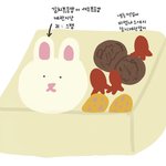 [댓글부탁해] <b>피크닉</b> 갈 때 도시락 둘 중에 뭐가 더 나을까 ?...