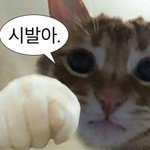 왘시 시험 끝났는데 불면증 오<b>지네</b>