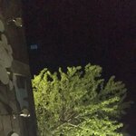 [19] <b>미시</b>같다는게 먼뜻이야