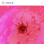 [모두드루와] 소녀시대 컴백으로 어그로 끌었던 <b>스</b><b>엠</b>
