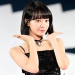 르세라핌 <b>견제</b> 어느팬이하는거임