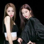 [댓글부탁해] 르세라핌 뜰거같음?(그로들은 훠이훠이
