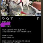<b>파양</b>을 감성팔이로 합리화 하는게 말이냐