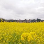 나같은 강박증가진 사람있을까?