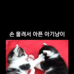 나 어렸을 때<b>얌</b>