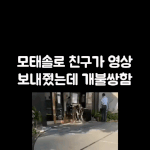 팩트) <b>모쏠</b>들 특징