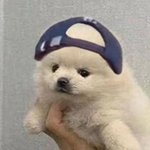 [더보이즈] 이거 이재현