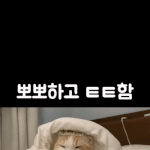 뽀뽀하고 튀기ㅋㅋ.<b>gif</b>