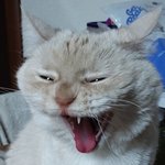 [댓글부탁해] He looked as if he had seen...