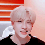 [스키즈] <b>찬이</b> 왔다!