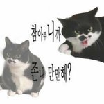 나 화장좀 알<b>려조</b>