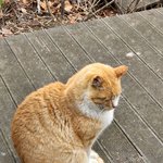 <b>슬랙스</b> 추천 좀..