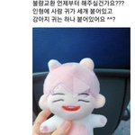 아이돌<b>인형</b> 이거 ㅈㄴ웃기다