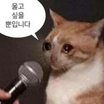 [댓글부탁해] <b>졸사</b> 이렇게 해도 돼? 도와줘제발