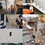 알엠은 무슨 <b>츄</b><b>르</b>인간이야?